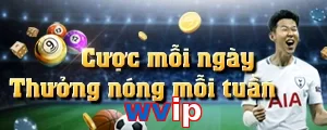 wvip